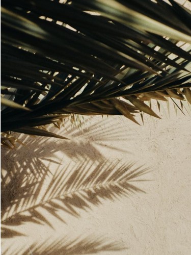 Sunkissed Tahera website imagesArtboard 3