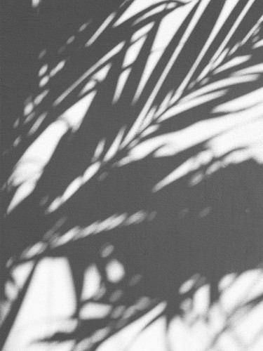 Sunkissed Tahera website imagesArtboard 7